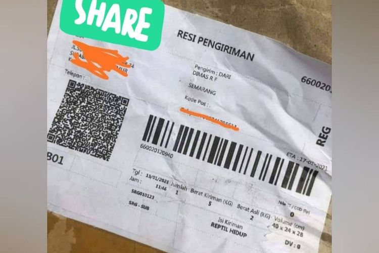 Viral, (Ular Lepas) Kirim Ular Kobra Dari Semarang ke Surabaya, Lewat Expedisi